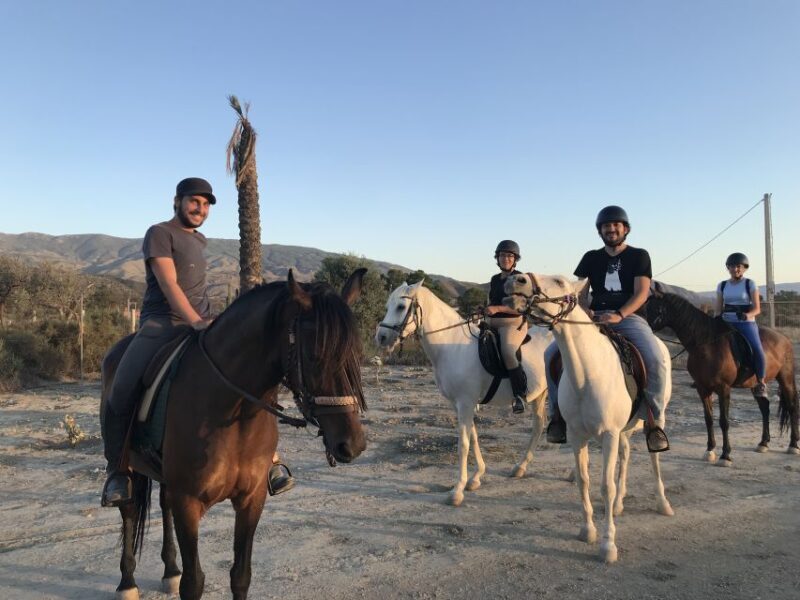 Almeria: Horse Riding Tour Through the Tabernas Desert - Key Points