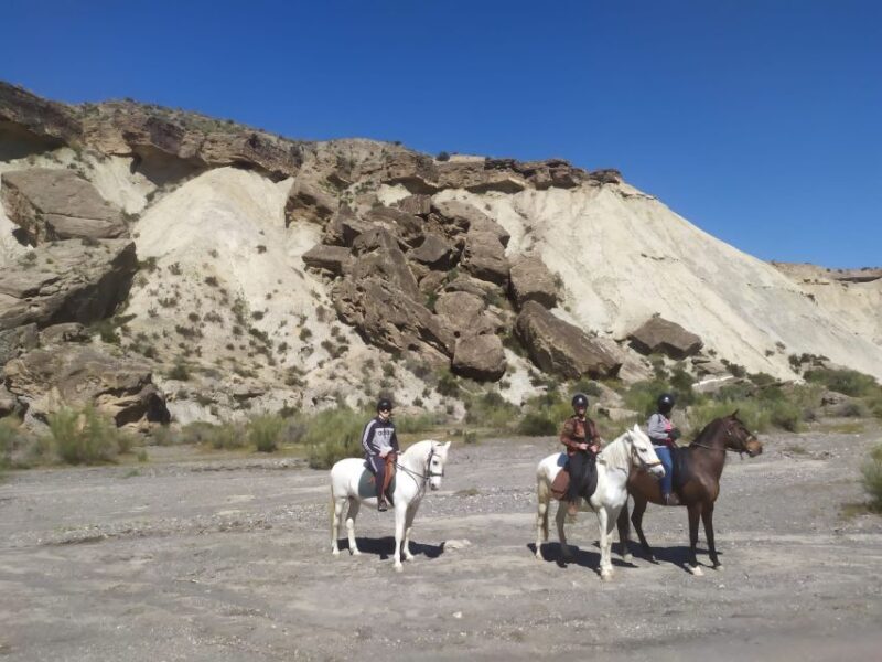 Almeria: Horse Riding Tour Through the Tabernas Desert - Whats Included and What to Keep in Mind