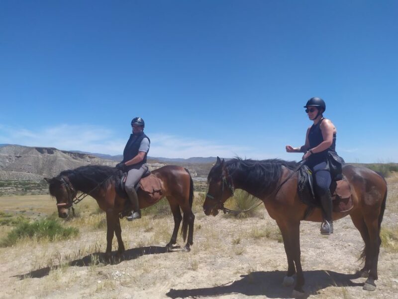 Almeria: Horse Riding Tour Through the Tabernas Desert - FAQ
