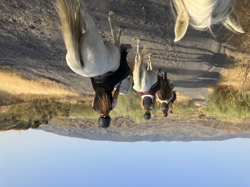 Almeria: Tabernas Desert Horse Riding for experienced riders - Almeria: Tabernas Desert Horse Riding for Experienced Riders