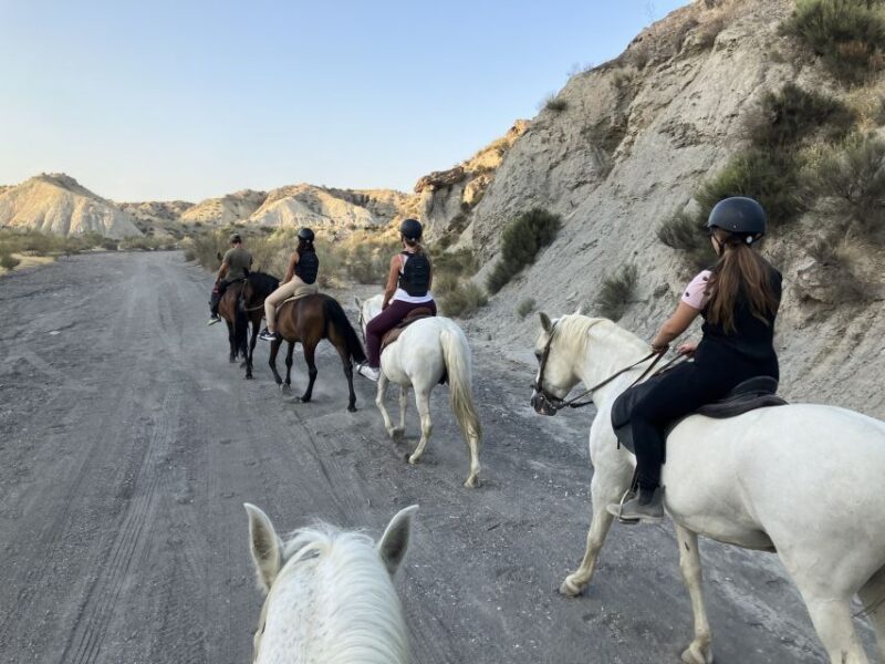 Almeria: Tabernas Desert Horse Riding for experienced riders - Authentic Feedback: What Riders Love and Consider