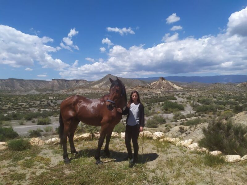 Almeria: Tabernas Desert Horse Riding for experienced riders - Practical Details and Considerations