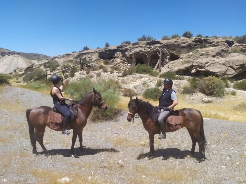 Almeria: Tabernas Desert Horse Riding for experienced riders - The Sum Up