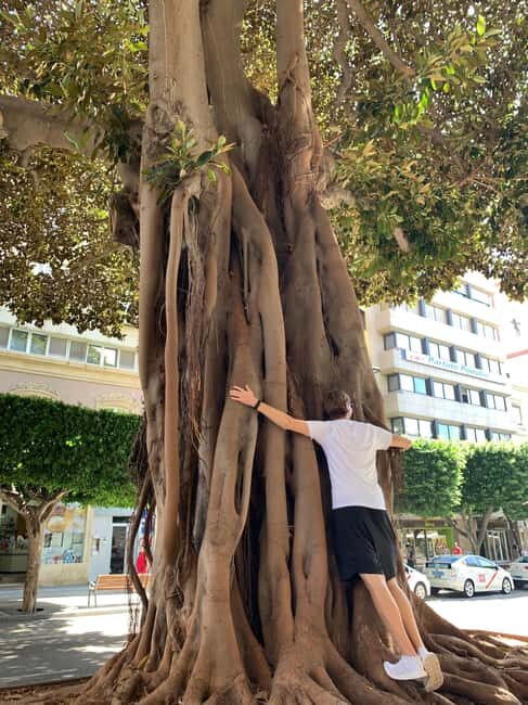 Almería: Walking City and Tapas Tour - FAQ