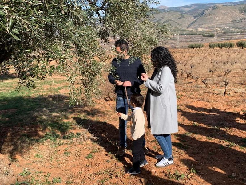 Almería: Wine tour and aperitif from La Alpujarra in Winery - Practical Details and Tips