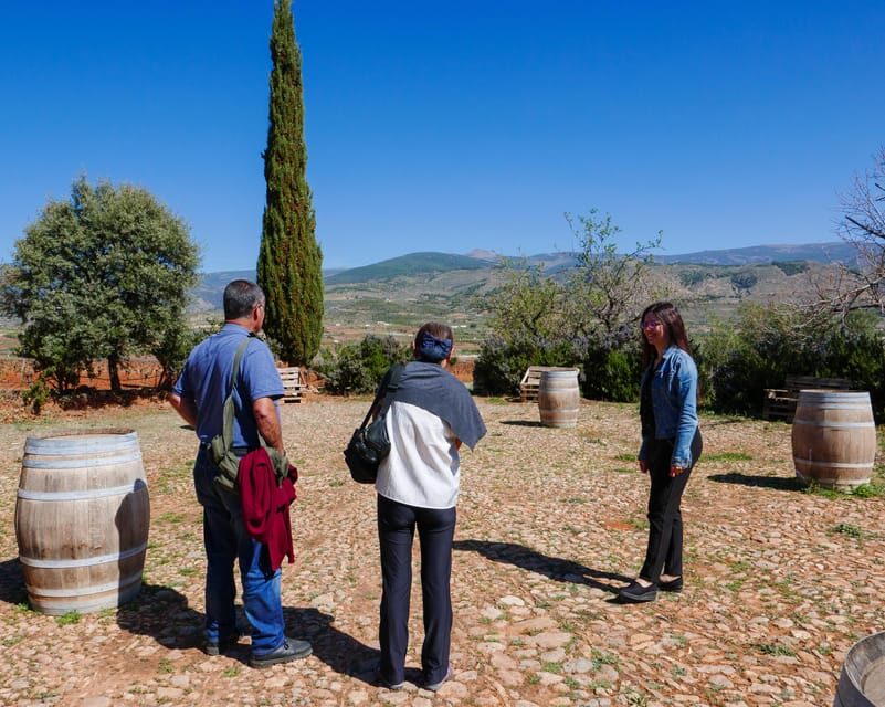 Almería: Wine tour and tasting in Organic Winery - A Detailed Look at the Experience