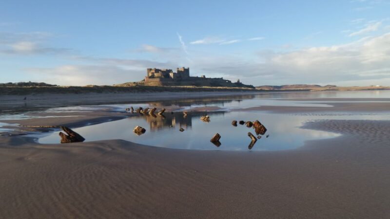 Alnwick Castle and Scottish Borders Tour from Edinburgh - An In-Depth Look at the Tour Experience