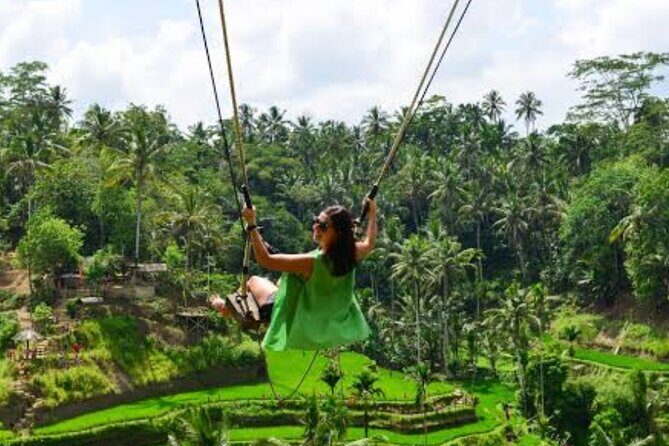 Aloha Swing : Exhilarating The Best Swing Experience in Ubud - Introduction
