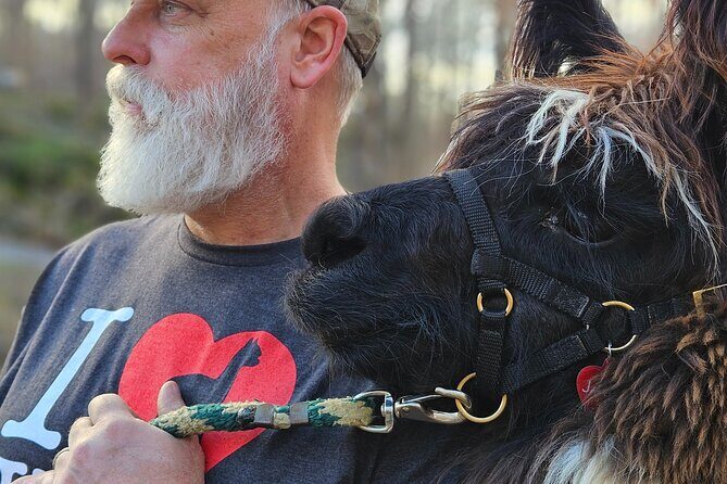 Alpaca and Llama Encounter with Guided Walk - Who Would Enjoy This Tour?