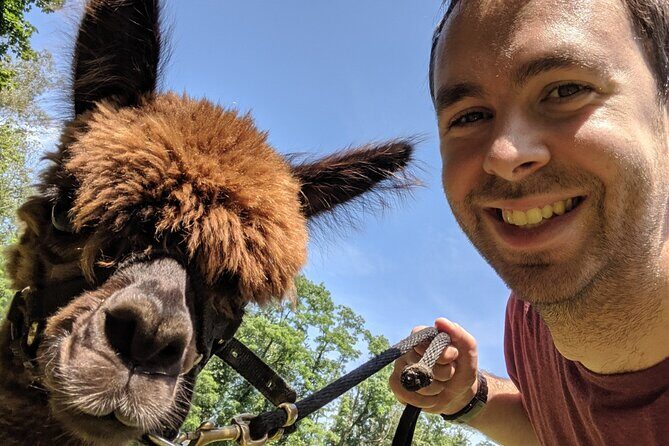 Alpaca and Llama Trek in Pleasant Valley - FAQ