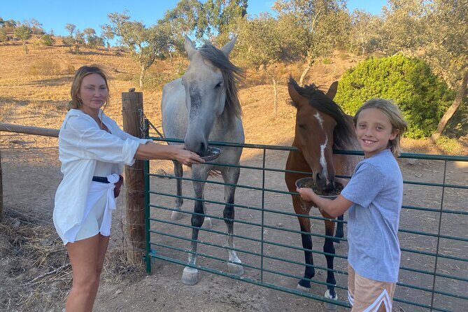 Alpaca Meet and Feed in Grândola - Who Will Love This Tour?