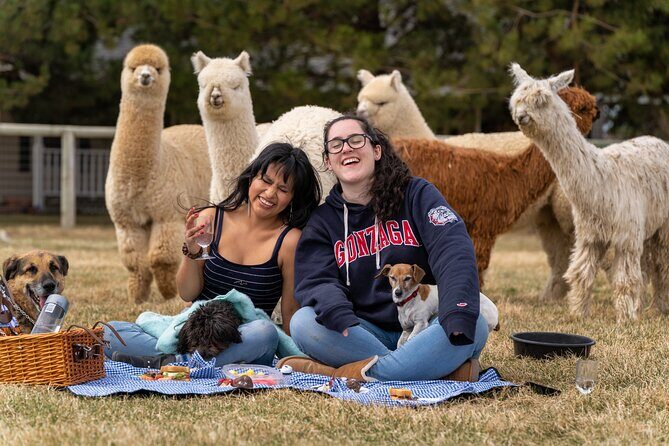 Alpaca Picnic Experience in Oregon - Key Points