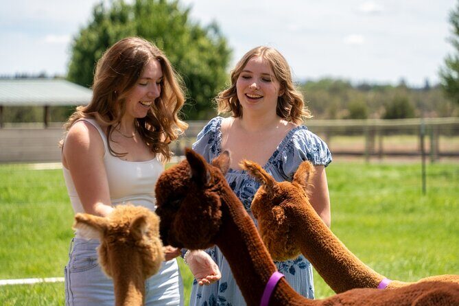 Alpaca Picnic Experience in Oregon - FAQs