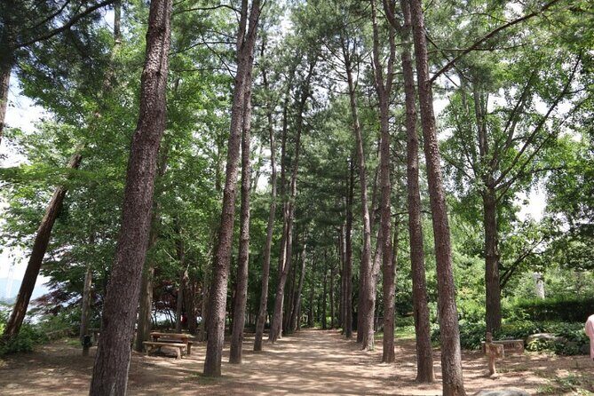 Alpaca World and Nami Island with Gangchon Rail Bike Tour - FAQ