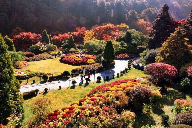 Alpaca World & Nami Island & Garden of Morning Calm One Day Tour - Key Points