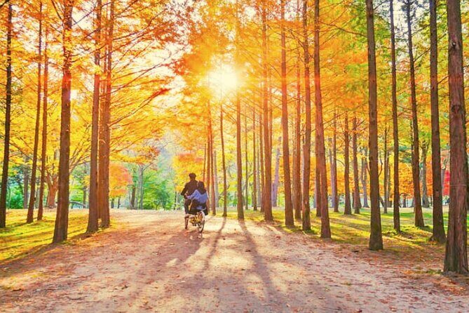 Alpaca World & Nami Island & Garden of Morning Calm One Day Tour - FAQs