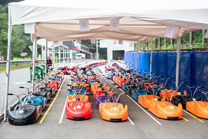 Alpaca World, Railbike and Vivaldi Park Experiences from Seoul - Who Will Love This Tour?