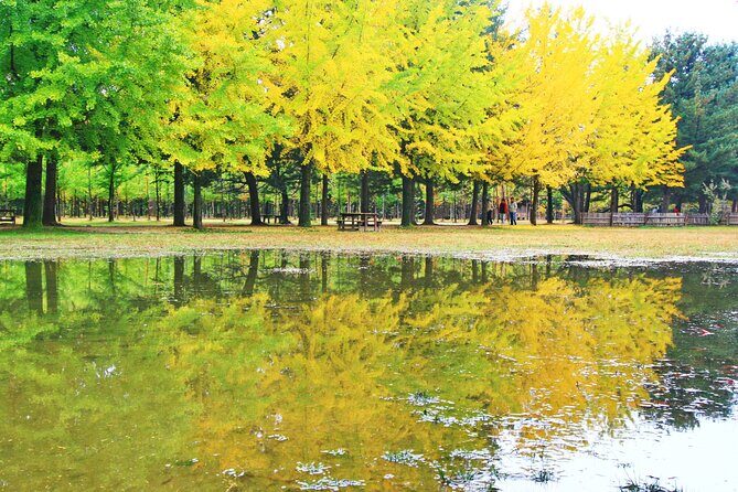 Alpaca World Tour with Nami Island & opt Railbike or Garden/Park - FAQs