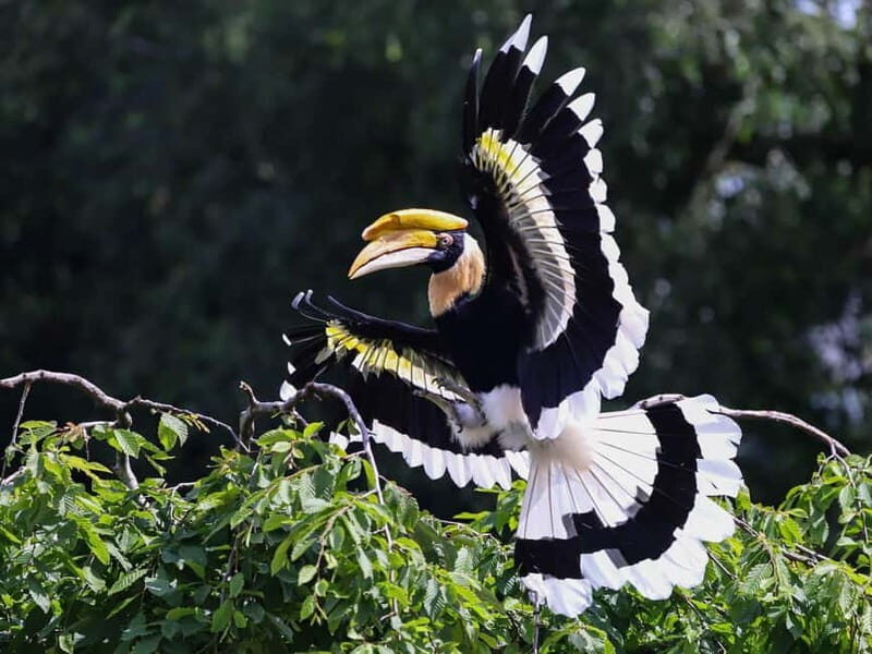 Alphen aan den Rijn: Avifauna Bird Park Entry Ticket - Final Thoughts
