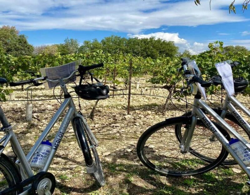 Alpilles: Discover vineyards and farms by electric bike - Key Points