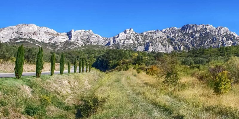 Alpilles: Discover vineyards and farms by electric bike - An In-Depth Look at the Experience