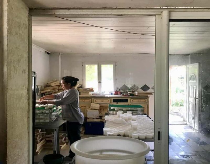 Alpilles: Discover vineyards and farms by electric bike - Price and Value: Is It Worth It?