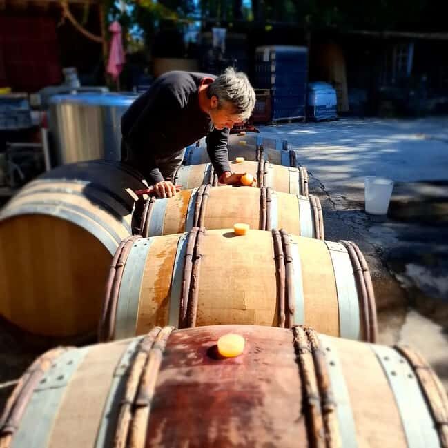 Alpilles: Discover vineyards and farms by electric bike - An In-Depth Look at the Tour Experience