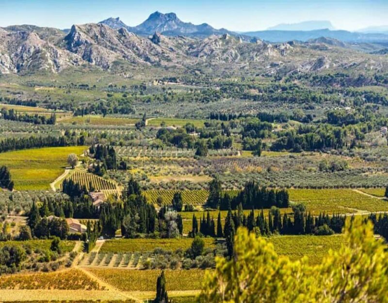 Alpilles: Discover vineyards and farms by electric bike - Who Will Love This Tour?