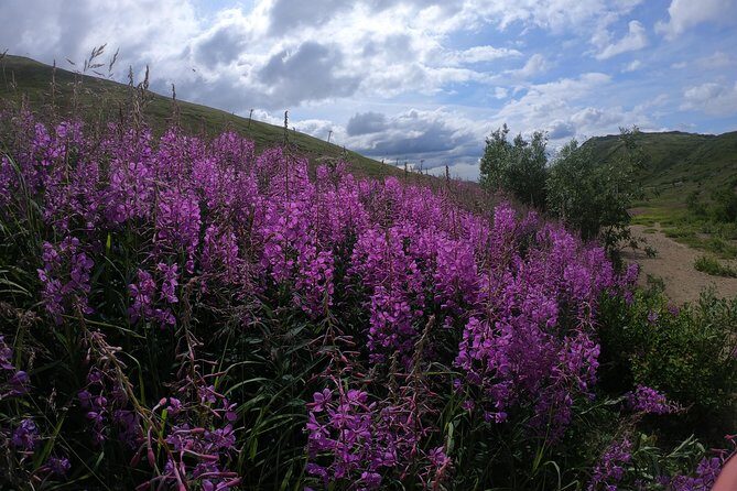 Alpine Classic Trek - FAQs