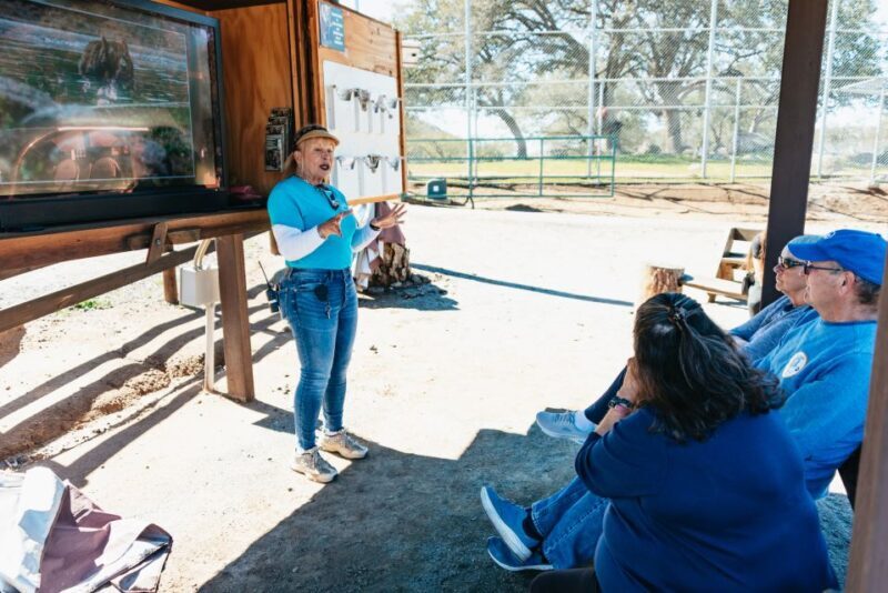 Alpine: Lions Tigers & Bears Animal Sanctuary Guided Visit - The Itinerary: What to Expect