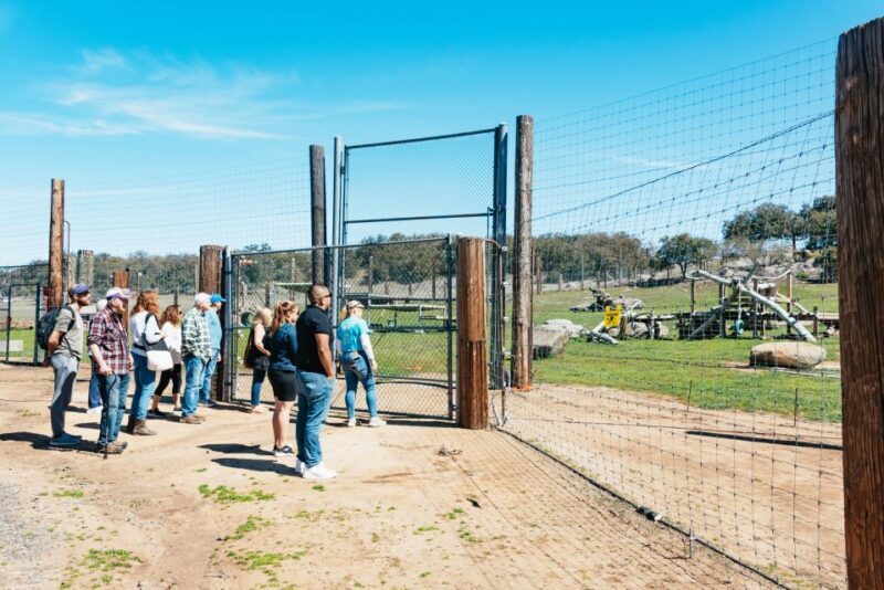 Alpine: Lions Tigers & Bears Animal Sanctuary Guided Visit - Authentic Reviews: What Visitors Say