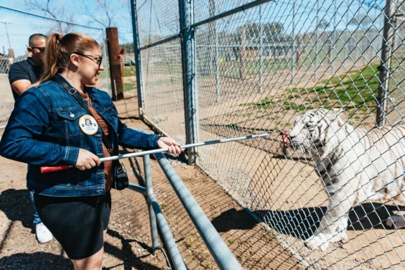 Alpine: Lions Tigers & Bears Animal Sanctuary Guided Visit - FAQ