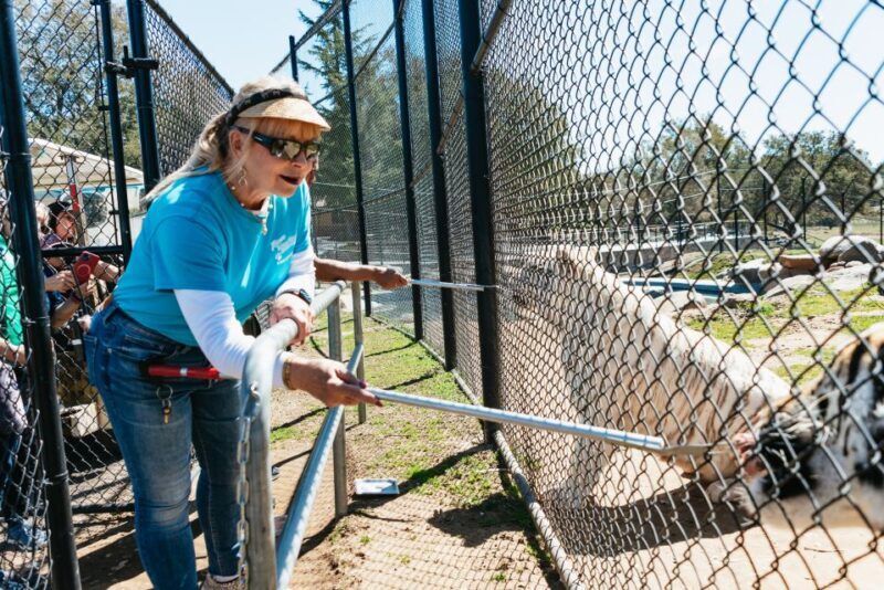 Alpine: Lions Tigers & Bears Sanctuary Visit and Feeding - FAQ