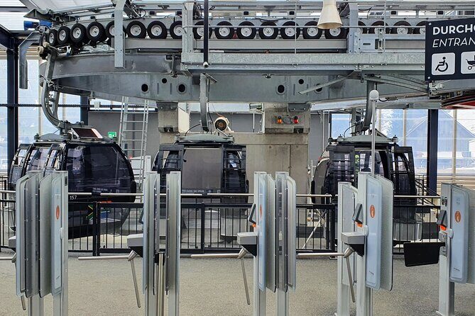 Alpine Majesty:Exclusive Private Tour to Mount Titlis from Basel - Who Should Book This Tour?