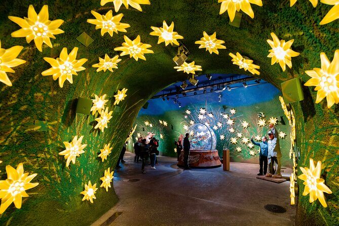 Alpine Majesty:From Zürich to Jungfraujoch Exclusive Private Tour - The Itinerary in Detail