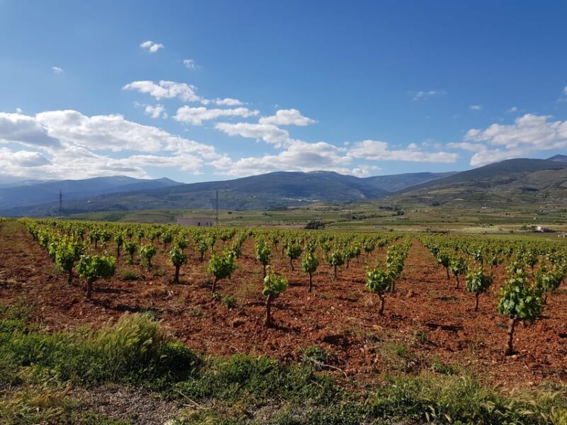 Alpujarra of Almería: Organic Wine tour and local aperitif - The Practicalities: What You Need to Know