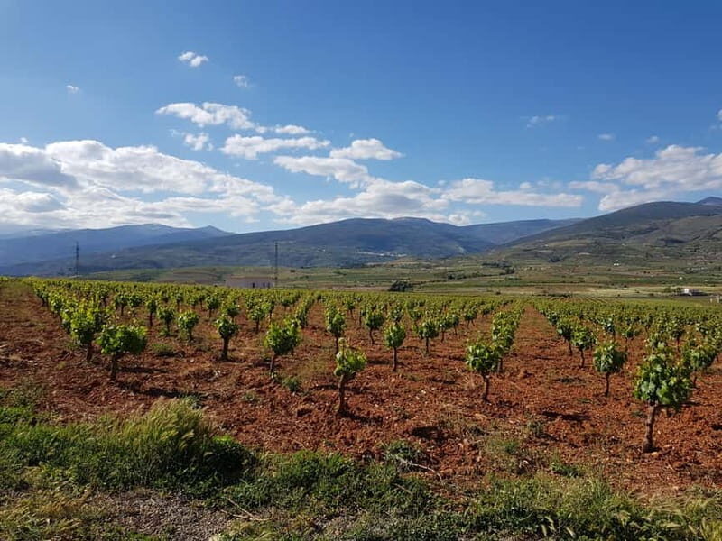 Alpujarra of Almería: Organic Wine tour and local aperitif - Who Should Consider This Tour?