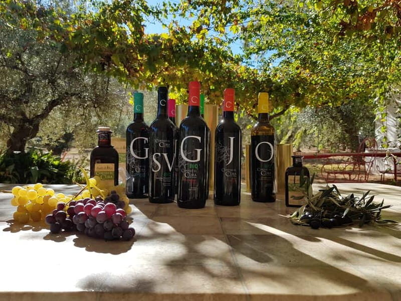 Alpujarra of Almería: Organic Wine tour and local aperitif - The Sum Up