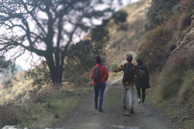 Alpujarra Private DayTrip from Granada - Key Points