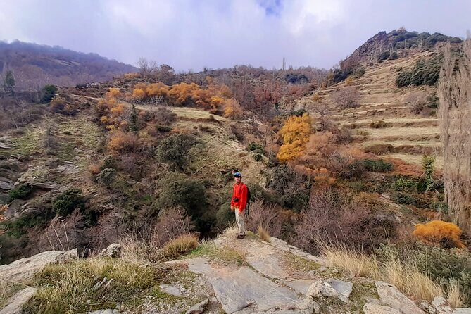 Alpujarra Private DayTrip from Granada - Why This Tour Offers Great Value