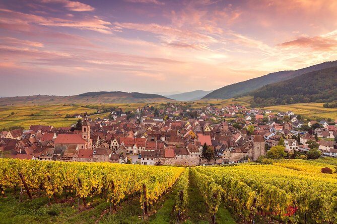 Alsace 4 Wonders Private Full Day Trip - An In-Depth Look at the Alsace 4 Wonders Private Tour