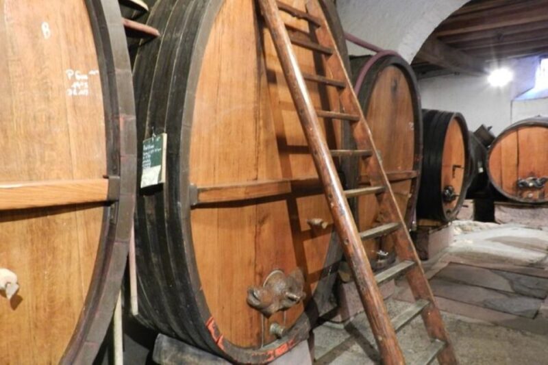Alsace: Half-Day Wine Tour from Colmar - An Overview of the Experience