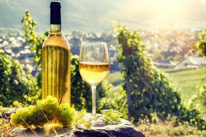 Alsace Half Day Wine Tour from Colmar - Who Is This Tour Best For?