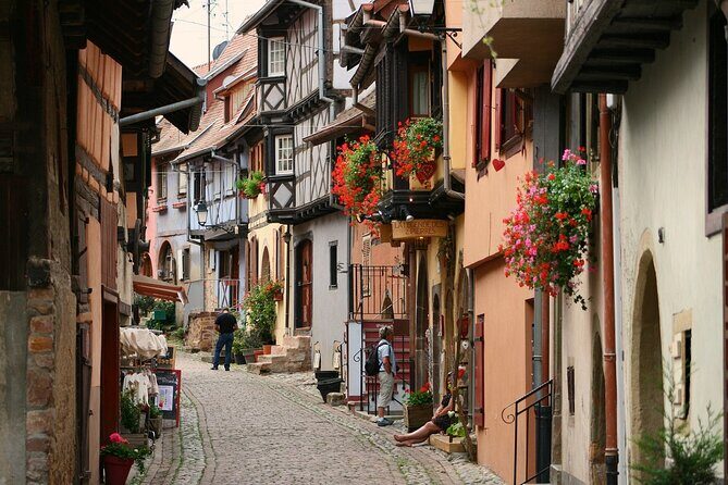 Alsace region Private Tour 8 hours from Strasbourg - The Value of a Private Tour