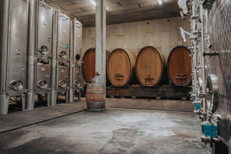 Alsace: Visit and Wine Tasting at Domaine Pierre Adam - The Sum Up