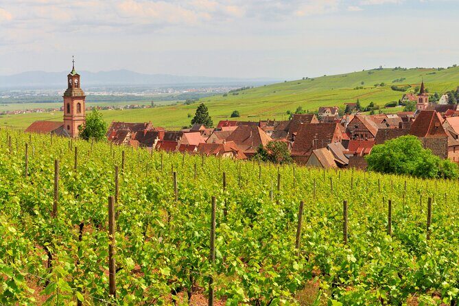 Alsace Wine Route Small Group Half-Day Tour with Tasting from Strasbourg - The Wine and the Landscape: Why It Matters