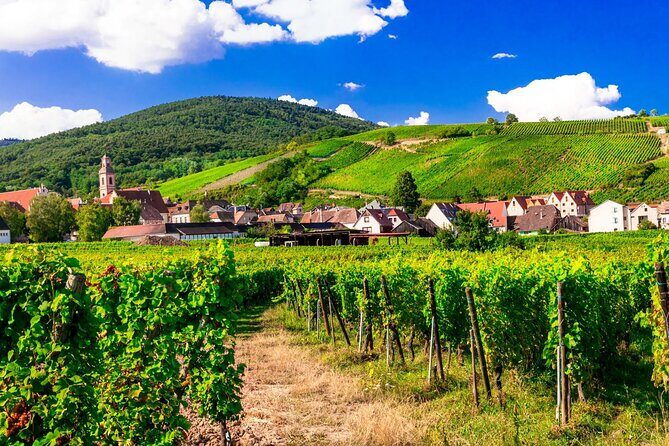 Alsace Wine Route Small Group Half-Day Tour with Tasting from Strasbourg - Who Will Love This Tour?