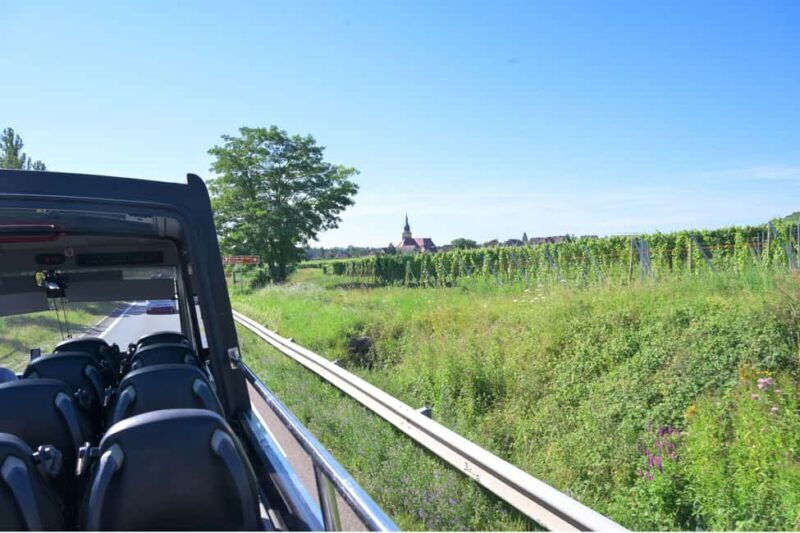 Alsace Wine Route: tour in a convertible bus with multiple stops - Final Words