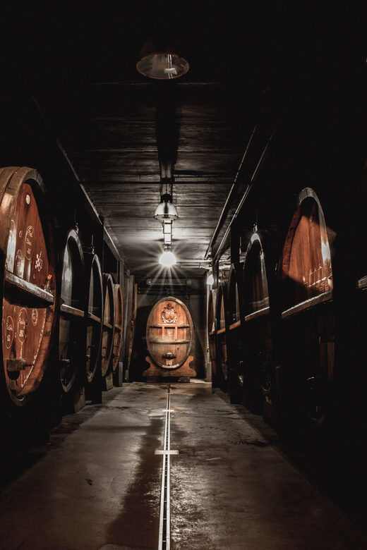 Alsace: Wine Tasting and Gourmet Christmas Lunch - The Value of This Experience