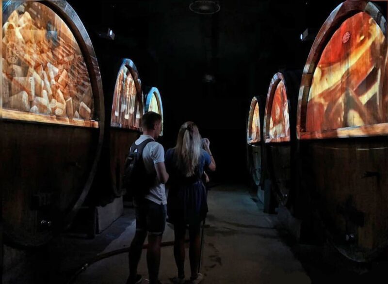 Alsace: Wine Tasting and Gourmet Christmas Lunch - Who Should Consider This Tour